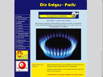 die-erdgas-profis.de website preview