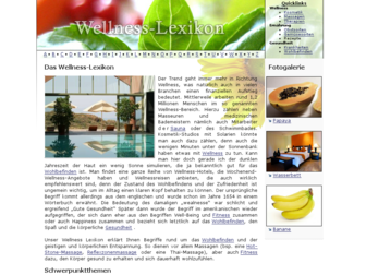 das-wellness-lexikon.de website preview