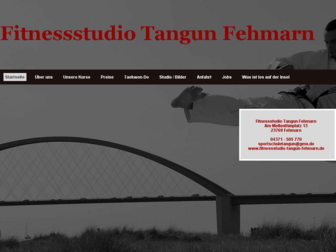fitnessstudio-tangun-fehmarn.de website preview
