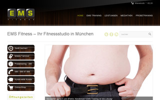 ems-fitness-muenchen.de website preview