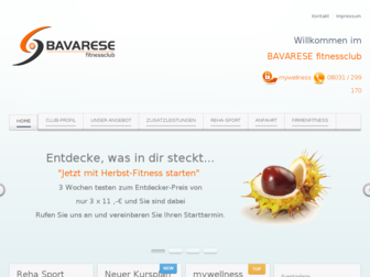 bavarese-fitnessclub.de website preview