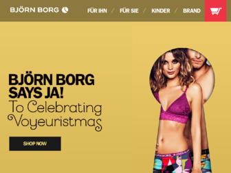 bjornborg.com website preview