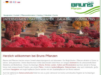 bruns.de website preview