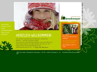 brockmeyer.de website preview
