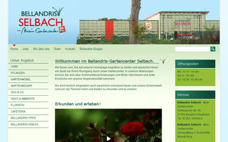 bellandris-selbach.de website preview