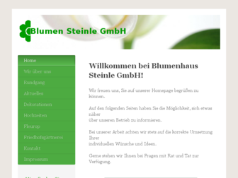blumen-steinle.de website preview