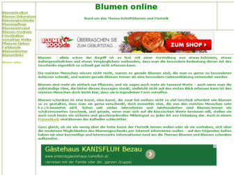 blumen-online-ratgeber.de website preview