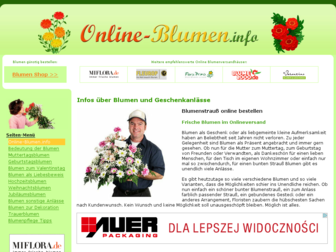 online-blumen.info website preview