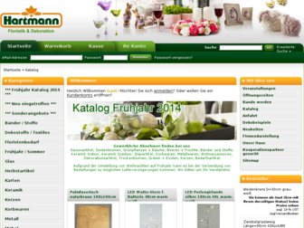 hartmann-dorsten.de website preview