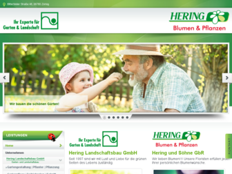 hering-zoerbig.de website preview