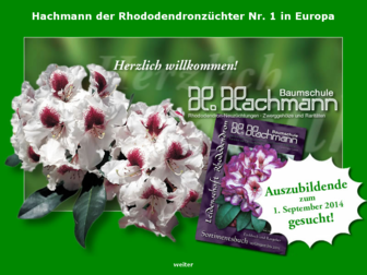 hachmann.de website preview