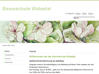 bs13.baumschule-walsetal.de website preview