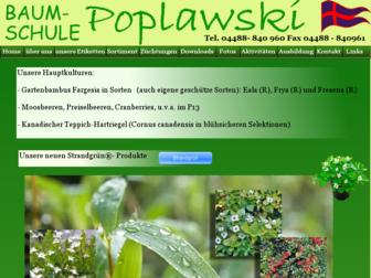 baumschule-poplawski.de website preview