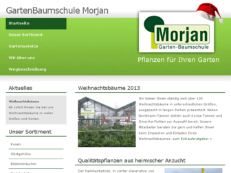baumschule-morjan.de website preview
