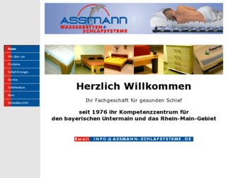 assmann-web.de website preview