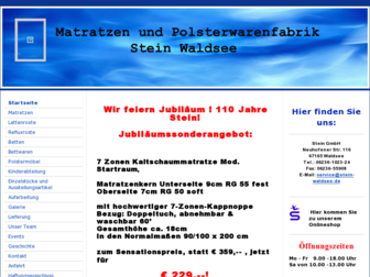 stein-waldsee.de website preview