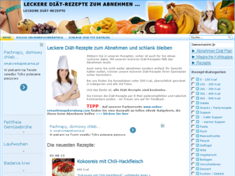 diaet-rezepte.schlank-und-fit-portal.com website preview