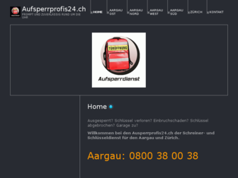aufsperrprofis24.ch website preview