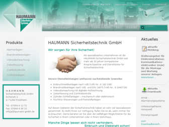 haumann-gmbh.de website preview