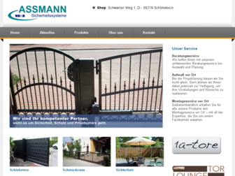 assmann-sicherheitssysteme.de website preview