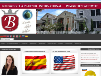 burgwinkel-international.de website preview