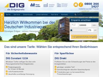 dig-gas.de website preview