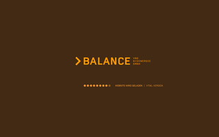 balance-vng.de website preview