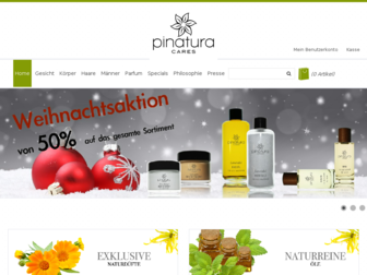 pinatura.com website preview
