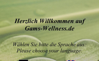 gams-wellness.de website preview