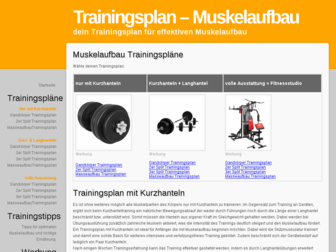 trainingsplan-muskelaufbau.biz website preview
