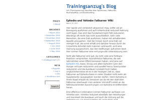 trainingsanzug.wordpress.com website preview