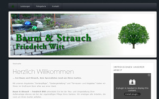 baum-strauch-bonn.de website preview