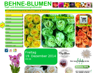 behne-blumen.de website preview