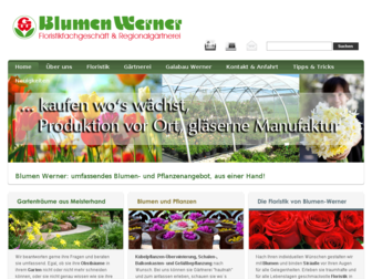blumen-werner.net website preview
