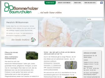 bommerholzer-baumschulen.de website preview