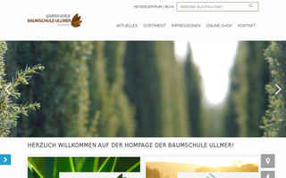 baumschule-ullmer.de website preview