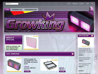 growking-shop.de website preview