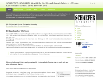 schaefer-security.com website preview