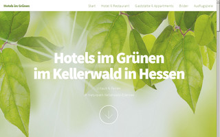 hotel-gruen.de website preview