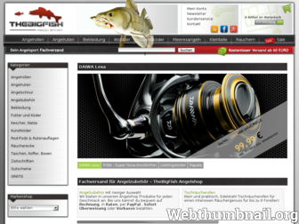 thebigfish.de website preview