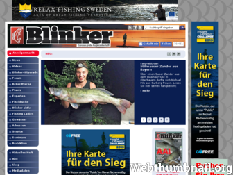 blinker.de website preview