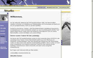 volleyball-handschuhsheim.de website preview