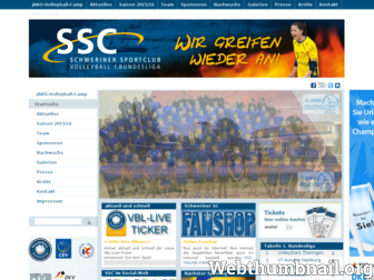 schweriner-sc.com website preview