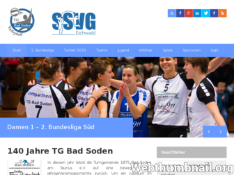eichwald-volleyball.de website preview