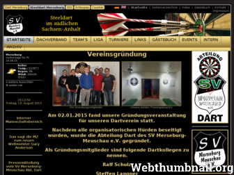 steel.dart-merseburg.de website preview