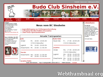 budo-club-sinsheim.de website preview