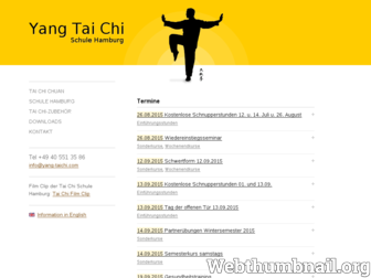 yang-taichi.com website preview