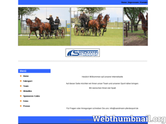 sandmann-pferdesport.de website preview