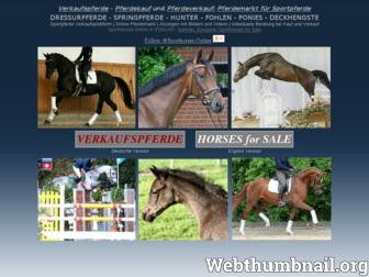 sporthorses-online.de website preview