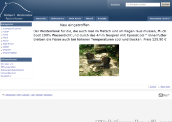 rwaglasterhausen.de website preview